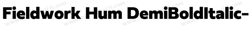 Fieldwork Hum DemiBoldItalic字体转换